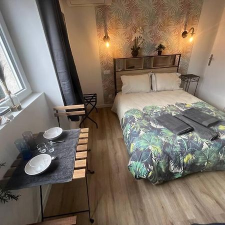 Verdi Studio Cosy Au Calme Parking Gratuit Chasse-sur-Rhône Zewnętrze zdjęcie