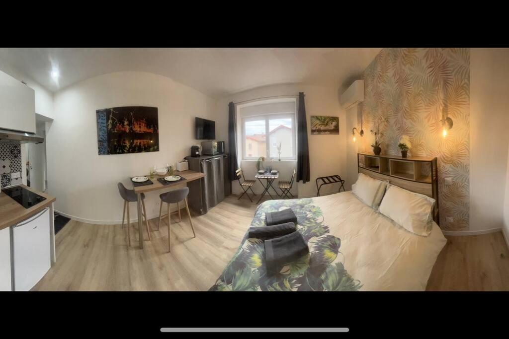 Verdi Studio Cosy Au Calme Parking Gratuit Chasse-sur-Rhône Zewnętrze zdjęcie
