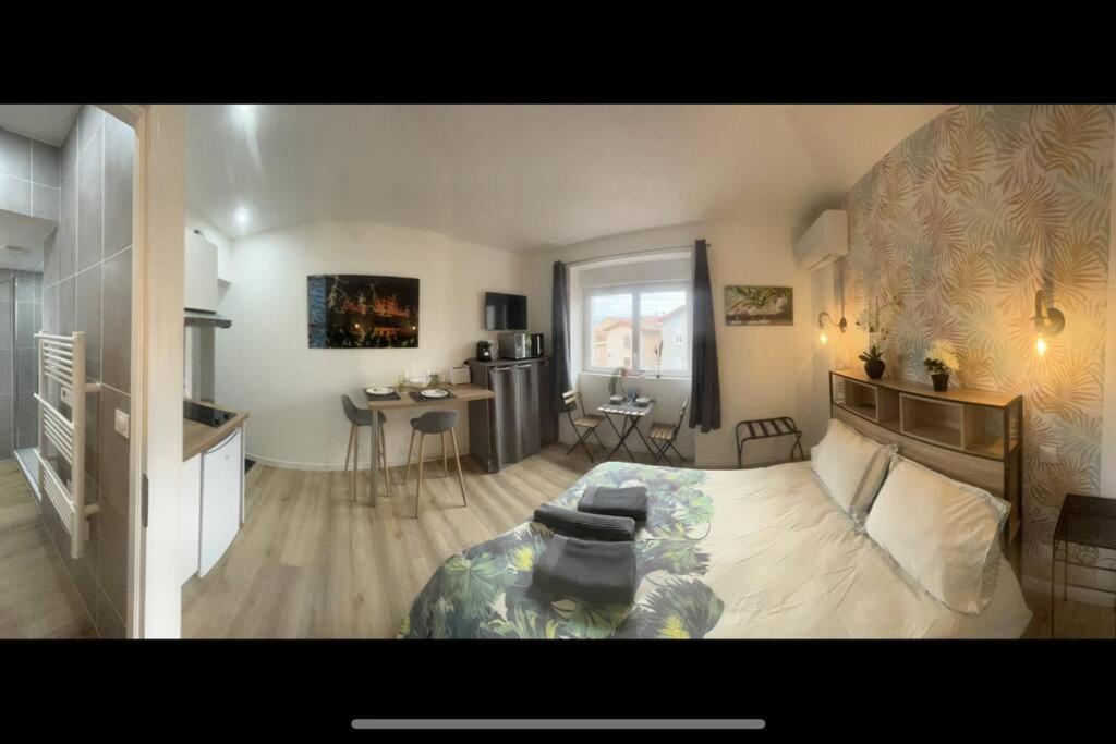 Verdi Studio Cosy Au Calme Parking Gratuit Chasse-sur-Rhône Zewnętrze zdjęcie